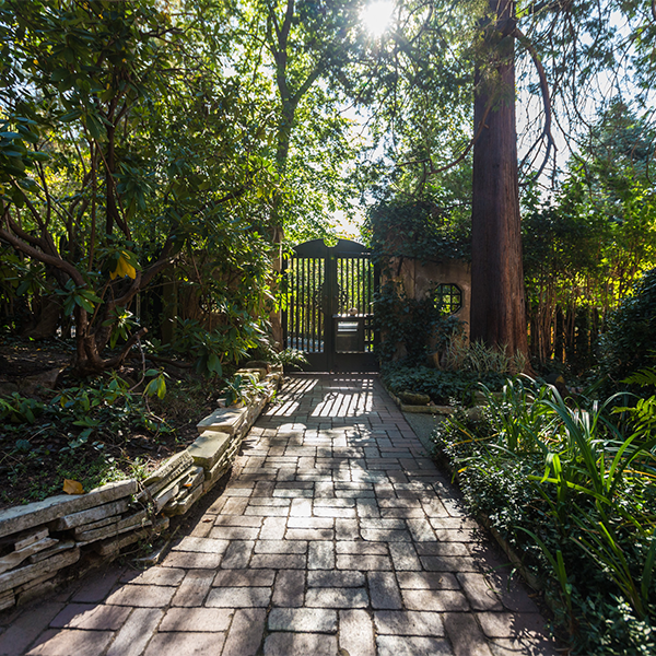 Willkommen in der Ferienwohnung Am Zuckerhut Dresden-Hosterwitz-Pillnitz